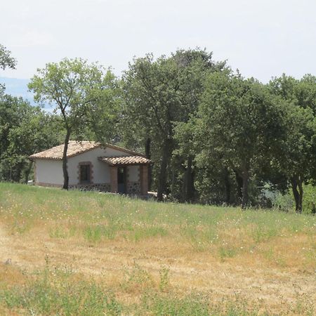 Holiday Home Il Podere Del Lago By Interhome Bolsena Exterior photo